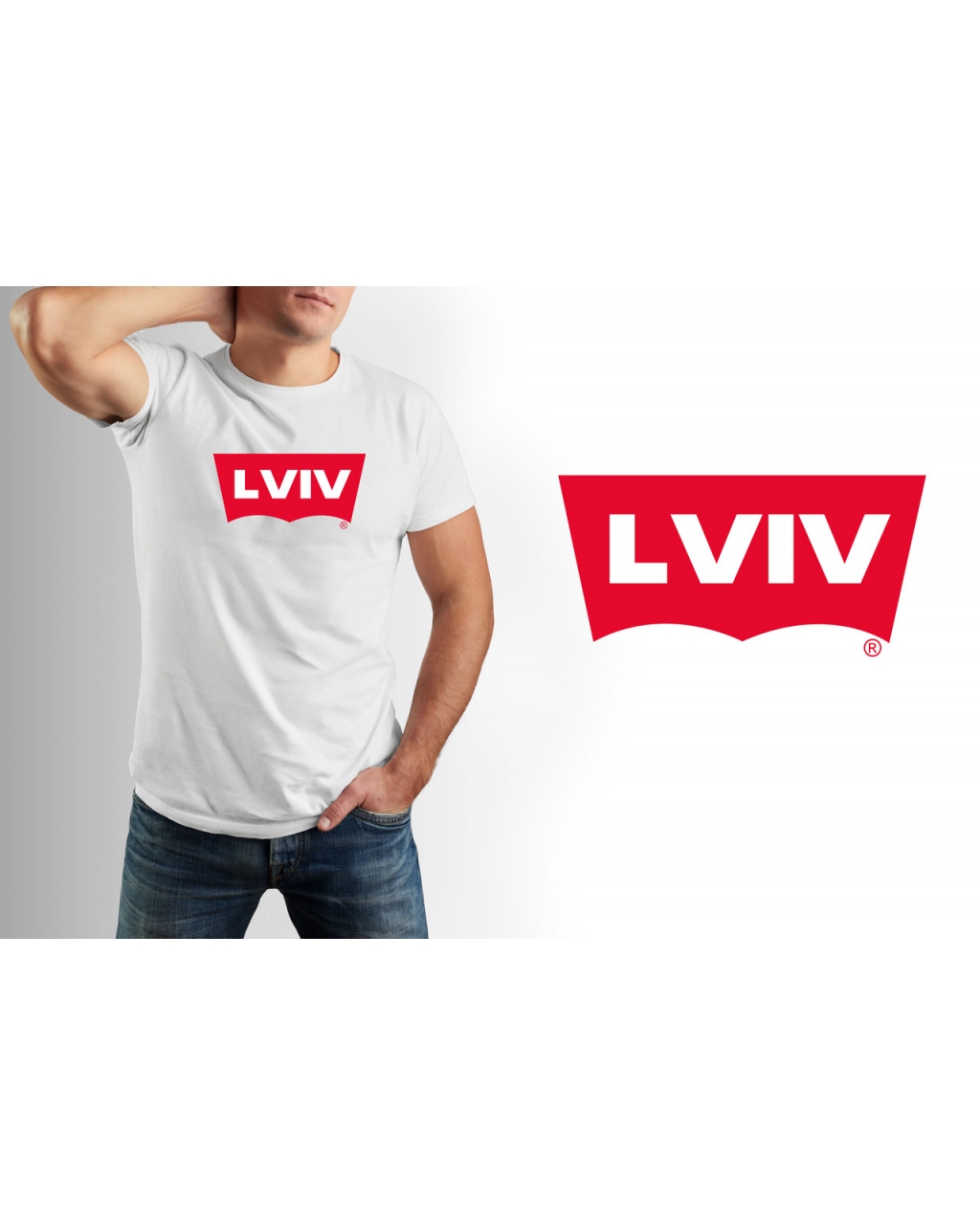 Футболка чоловіча Lviv Mishe 111000175 сіра
