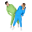 Спортивные костюмы